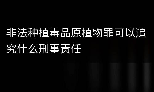 非法种植毒品原植物罪可以追究什么刑事责任
