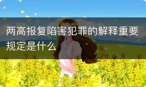 两高报复陷害犯罪的解释重要规定是什么