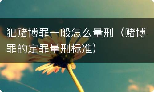 犯赌博罪一般怎么量刑（赌博罪的定罪量刑标准）