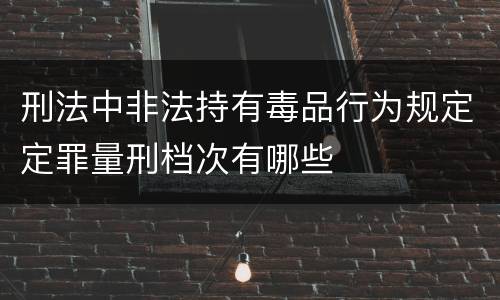刑法中非法持有毒品行为规定定罪量刑档次有哪些
