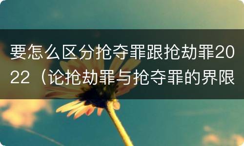 要怎么区分抢夺罪跟抢劫罪2022（论抢劫罪与抢夺罪的界限）