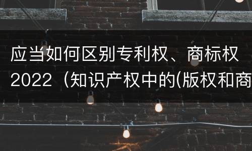 应当如何区别专利权、商标权2022（知识产权中的(版权和商标权与标准）