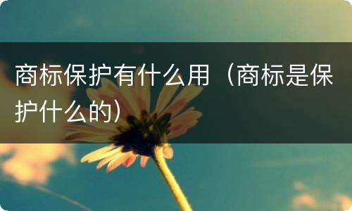 商标保护有什么用（商标是保护什么的）