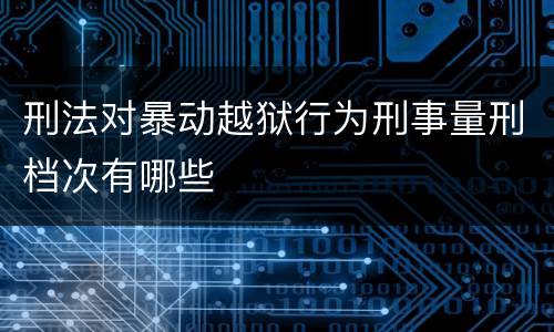 刑法对暴动越狱行为刑事量刑档次有哪些
