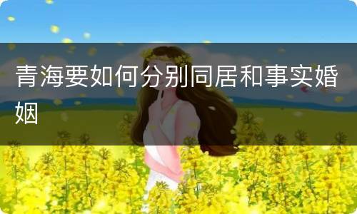 青海要如何分别同居和事实婚姻