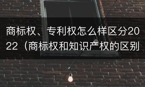 商标权、专利权怎么样区分2022（商标权和知识产权的区别）