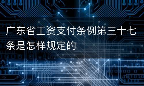 广东省工资支付条例第三十七条是怎样规定的