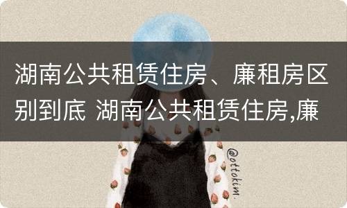 湖南公共租赁住房、廉租房区别到底 湖南公共租赁住房,廉租房区别到底在哪