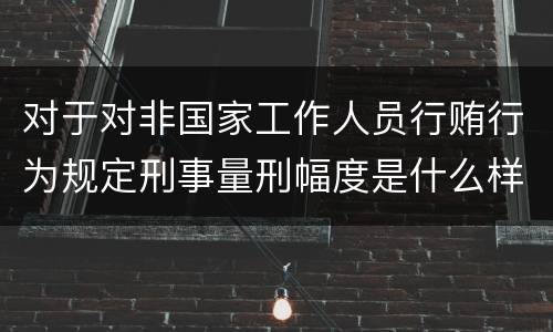 对于对非国家工作人员行贿行为规定刑事量刑幅度是什么样