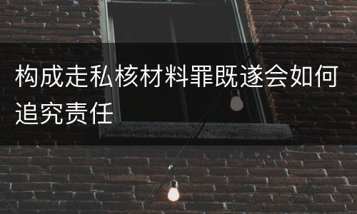 构成走私核材料罪既遂会如何追究责任