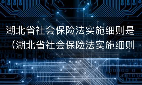 湖北省社会保险法实施细则是（湖北省社会保险法实施细则是第几条）