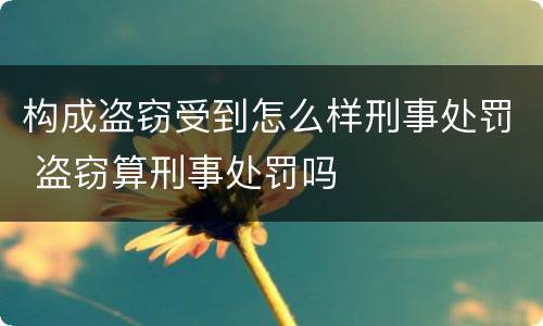 构成盗窃受到怎么样刑事处罚 盗窃算刑事处罚吗