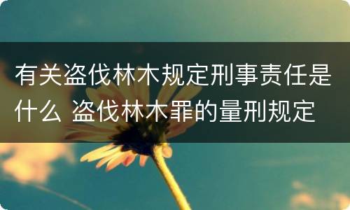 有关盗伐林木规定刑事责任是什么 盗伐林木罪的量刑规定