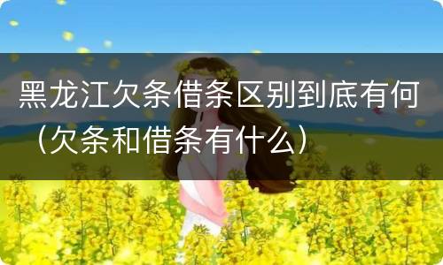 黑龙江欠条借条区别到底有何（欠条和借条有什么）
