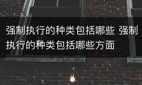 强制执行的种类包括哪些 强制执行的种类包括哪些方面