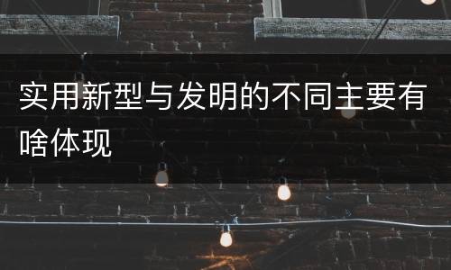 实用新型与发明的不同主要有啥体现