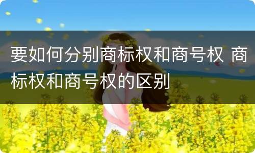 要如何分别商标权和商号权 商标权和商号权的区别