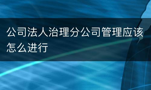 公司法人治理分公司管理应该怎么进行