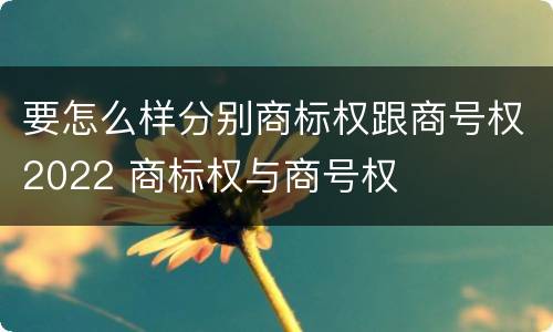 要怎么样分别商标权跟商号权2022 商标权与商号权