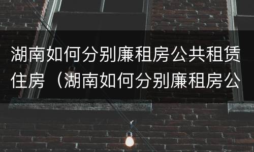 湖南如何分别廉租房公共租赁住房（湖南如何分别廉租房公共租赁住房和住宅）