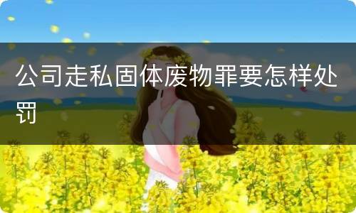 公司走私固体废物罪要怎样处罚
