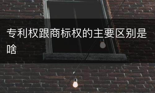 专利权跟商标权的主要区别是啥