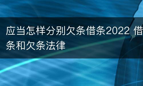 应当怎样分别欠条借条2022 借条和欠条法律