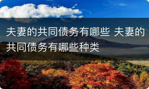 夫妻的共同债务有哪些 夫妻的共同债务有哪些种类
