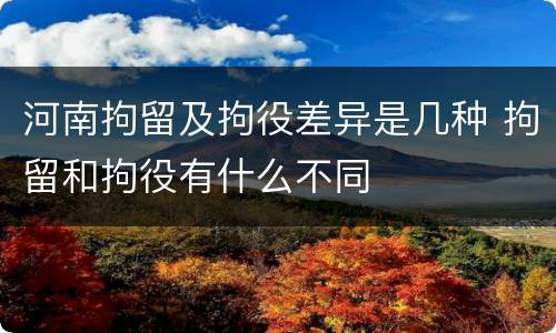 河南拘留及拘役差异是几种 拘留和拘役有什么不同