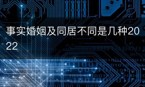 事实婚姻及同居不同是几种2022