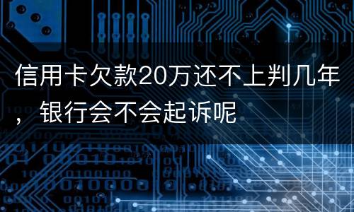 信用卡欠款20万还不上判几年，银行会不会起诉呢