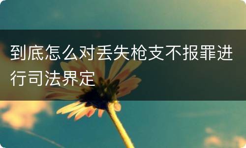 到底怎么对丢失枪支不报罪进行司法界定
