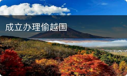 成立办理偷越国