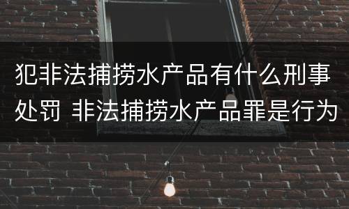 犯非法捕捞水产品有什么刑事处罚 非法捕捞水产品罪是行为犯吗