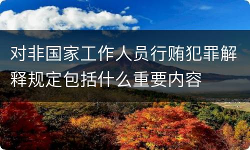 对非国家工作人员行贿犯罪解释规定包括什么重要内容