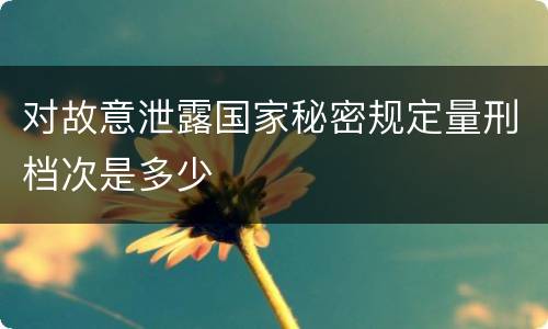 对故意泄露国家秘密规定量刑档次是多少