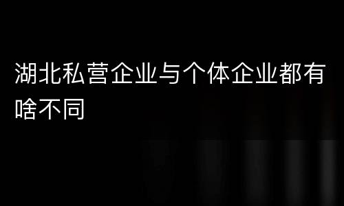湖北私营企业与个体企业都有啥不同