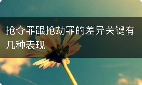 抢夺罪跟抢劫罪的差异关键有几种表现