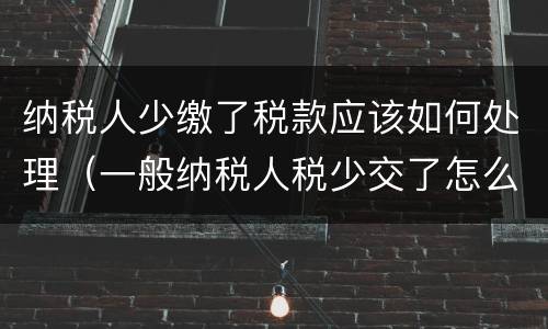 纳税人少缴了税款应该如何处理（一般纳税人税少交了怎么办）