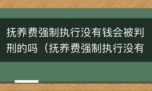 抚养费强制执行没有钱会被判刑的吗（抚养费强制执行没有钱会被判刑的吗怎么办）