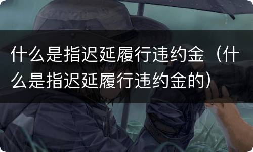 什么是指迟延履行违约金（什么是指迟延履行违约金的）