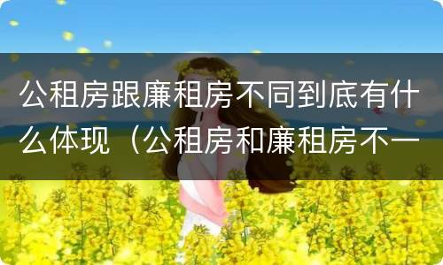 公租房跟廉租房不同到底有什么体现（公租房和廉租房不一样吗）
