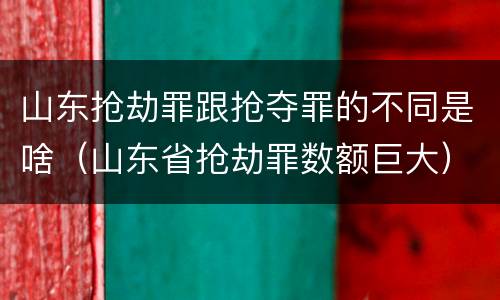 山东抢劫罪跟抢夺罪的不同是啥（山东省抢劫罪数额巨大）