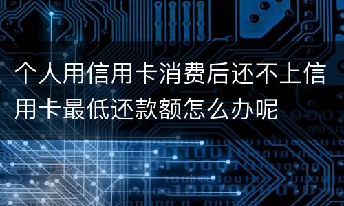 个人用信用卡消费后还不上信用卡最低还款额怎么办呢