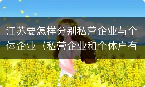 江苏要怎样分别私营企业与个体企业（私营企业和个体户有什么区别）