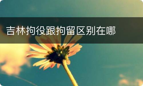 吉林拘役跟拘留区别在哪