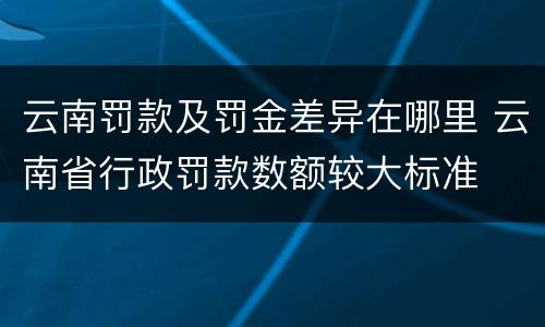 云南罚款及罚金差异在哪里 云南省行政罚款数额较大标准