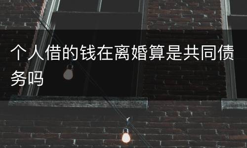 个人借的钱在离婚算是共同债务吗