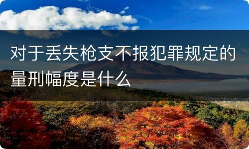对于丢失枪支不报犯罪规定的量刑幅度是什么