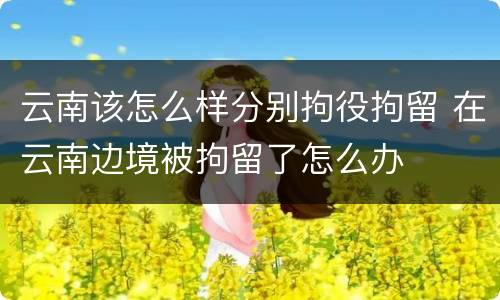 云南该怎么样分别拘役拘留 在云南边境被拘留了怎么办